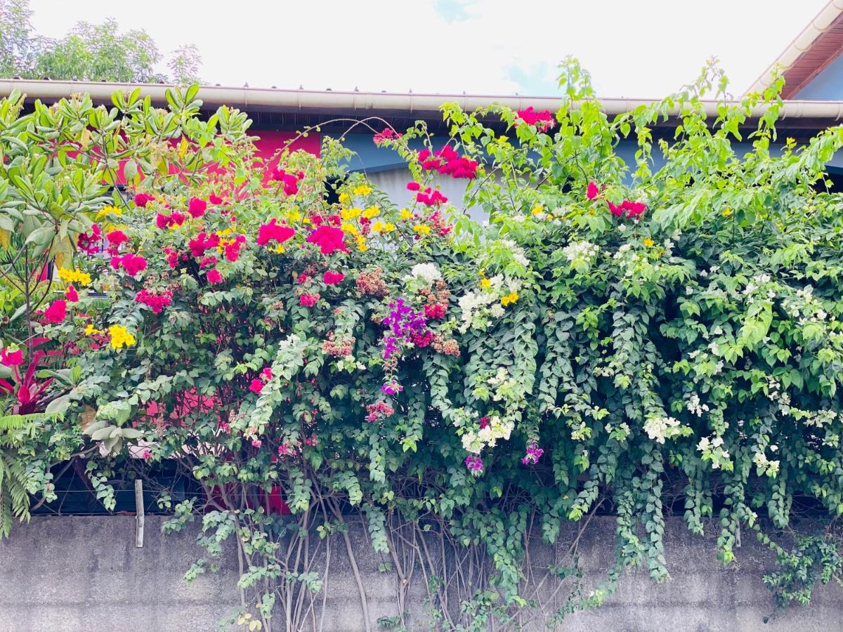 Moya Residence By Md Dzaoudzi Ngoại thất bức ảnh